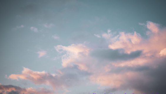 「オリブの若葉」讃美歌にまつわるエピソードその3